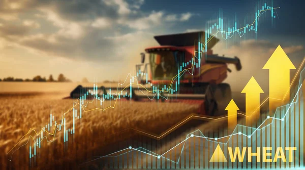 Oogstmachines Een Goudkorenveld Met Groeikaarten Pijlen Aandelenmarkt — Stockfoto