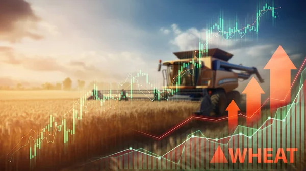 Sunset Wheat Fields Combine Harvester Financial Increase Graphs Stock Image