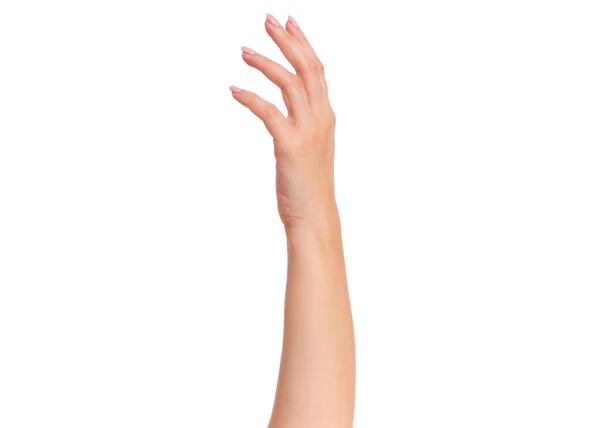 Mão Feminina Com Manicure Isolada Sobre Fundo Branco Bela Mão — Fotografia de Stock