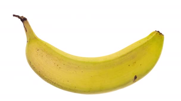 Time Lapso Maduración Descomposición Del Plátano Aislado Sobre Fondo Blanco — Vídeos de Stock