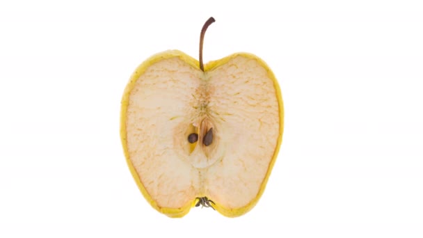Czas Upadek Połowy Świeżego Jabłka Szybko Wyschł Izolowany Białym Tle — Wideo stockowe