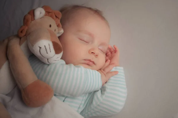 침대에 부드러운 장난감 사자를 데리고 조심스럽게 아기가 자기가 장난감 이랑자고 — 스톡 사진
