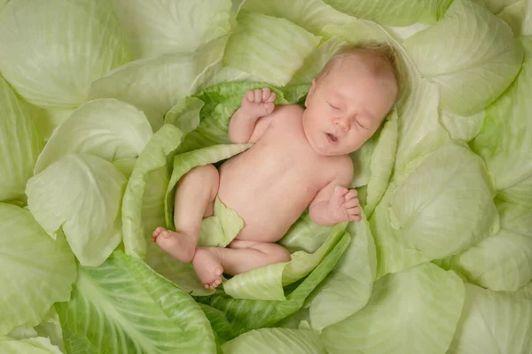Niño Recién Nacido Acostado Duerme Repollo Verde Fresco Lindo Niño — Foto de Stock