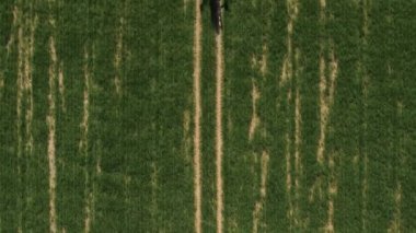 Yay tarlasında traktörün hava görüntüsü. Yeşil traktörün üzerinden uçan İHA 'dan ateş ederek alana kimyasallar püskürtüyor. Tarım konsepti. Kırsal alan.