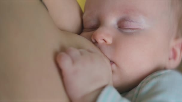 新生婴儿吸母乳 漂亮而宁静的孩子在哺乳时安安静静地睡觉 肖像画 — 图库视频影像