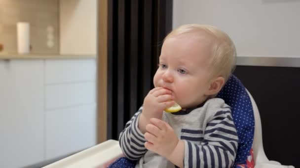 青い目の美しい赤ちゃんがチャイルドシートに座って 新鮮な酸味のあるレモンを食べ 顔のグリッシング クローズアップ肖像画 顔の表情 — ストック動画