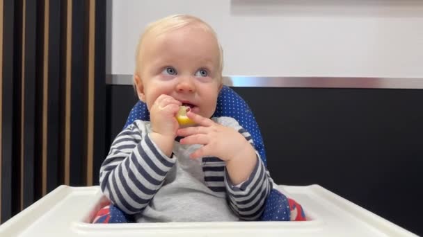 Όμορφο Αγοράκι Μπλε Μάτια Κάθεται Παιδικό Κάθισμα Τρώει Φρέσκο Ξινό — Αρχείο Βίντεο