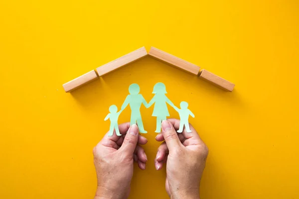 Concept of family and family protection family, family rights
