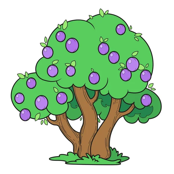 Grande Árvore Ameixa Crescida Com Frutas Variação Cor Para Colorir —  Vetores de Stock