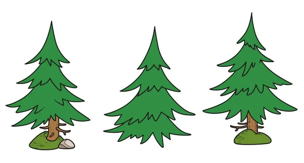 Σπρους Παραλλαγή Χρώματος Δέντρο Για Χρωματισμό Σελίδα Απομονωμένη Λευκό Φόντο — Διανυσματικό Αρχείο