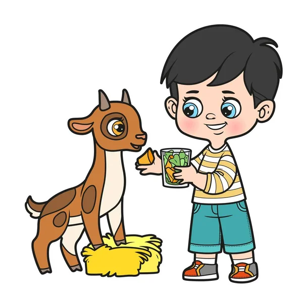 Netter Cartoon Junge Füttert Ziege Mit Karotten Und Salatstücken Farbvariante — Stockvektor