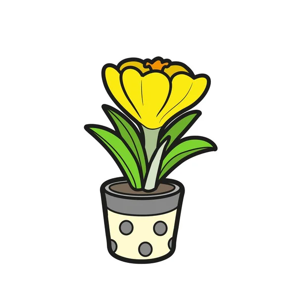 Цветок Крокус Расти Небольшой Цветок Горшок Вариатин Раскраски Книги Изолированы — стоковый вектор
