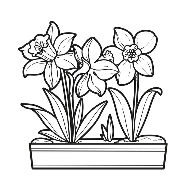 長い鍋の着色本の花を発行白の背景に孤立線形図面 — ストックベクタ