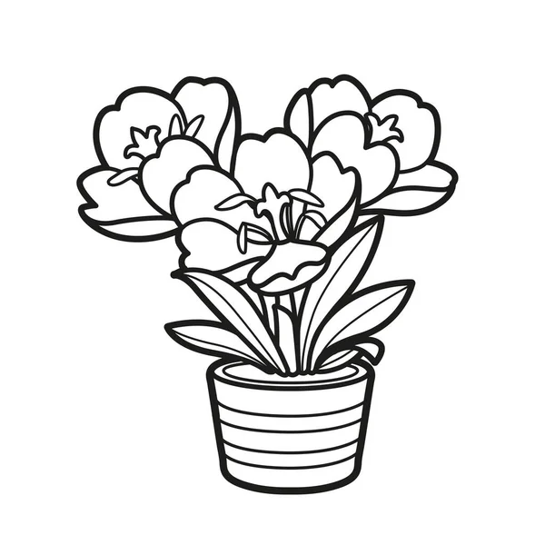 クロッカスの花は 白い背景に孤立した小さなポット着色本の線形図面で成長します — ストックベクタ
