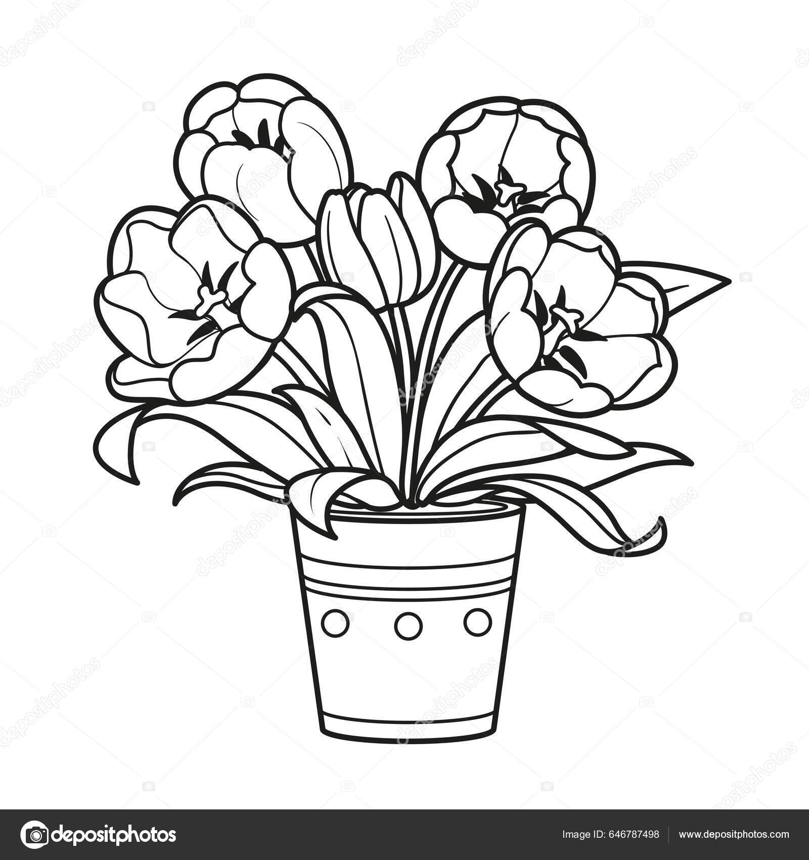 Drawing of beautiful narcissus flower in the pot Vector Image-saigonsouth.com.vn