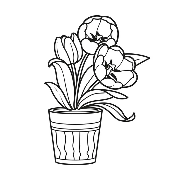 Három Tulipán Virágok Pot Színező Könyv Lineáris Rajz Elszigetelt Fehér — Stock Vector