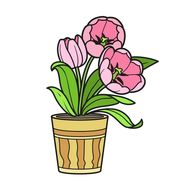 Három Tulipán Virágok Pot Színváltozatban Színező Könyv Elszigetelt Fehér Háttér — Stock Vector