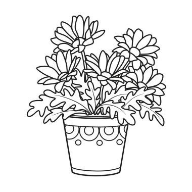 Esrar boyama kitabındaki Gerberas veya papatyalar beyaz arkaplanda izole edilmiş doğrusal çizimler