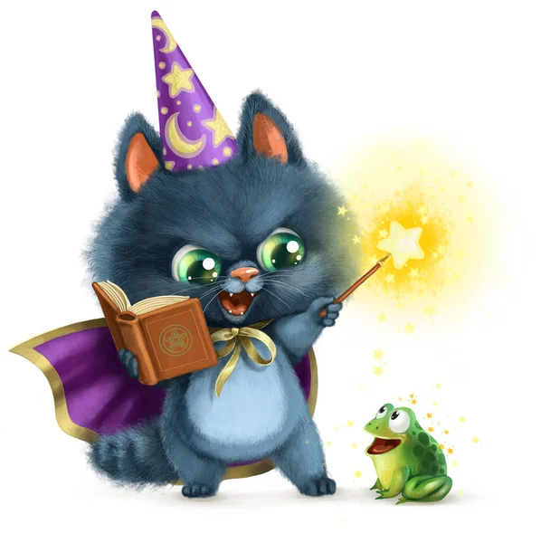 Black kitten wizard with a book and a magic wand conjures over a toad