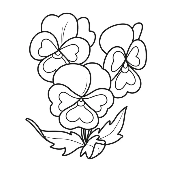 Stiefmütterchen Blumen Malbuch Lineare Zeichnung Isoliert Auf Weißem Hintergrund — Stockvektor