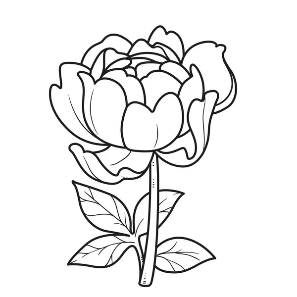 Напівкулястий Трояндовий Лінійний Малюнок Розмальовки Книги Ізольовані Білому Тлі — стоковий вектор