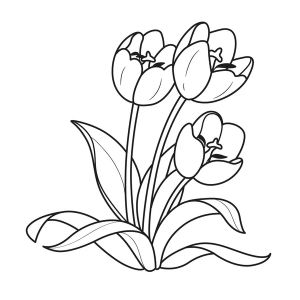 Three Tulips Flowers Outlined Coloring Book Isolated White Background — Stock Vector
