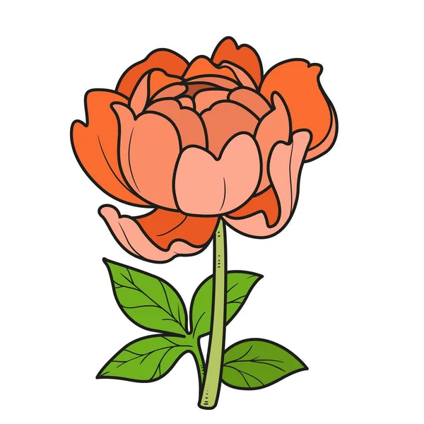 Variation Couleur Rose Demi Soufflée Pour Livre Colorier Isolé Sur — Image vectorielle