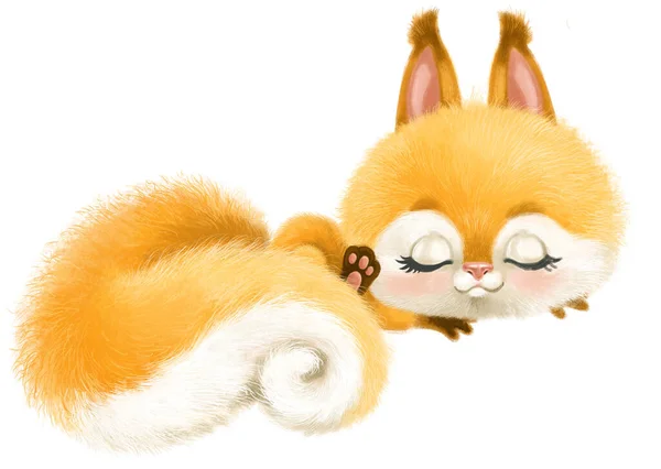 Cute Cartoon Squirrel Sleep White Background — Stock Photo, Image