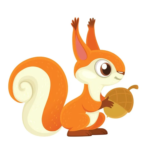 Cute Cartoon Orange Squirrel Holding Acorn Paws Isolated White Background — Stock Vector