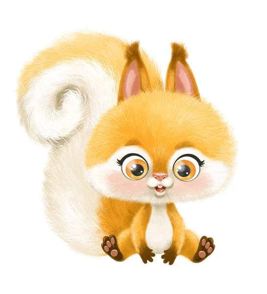 Nette Cartoon Orange Eichhörnchen Sitzen Auf Weißem Hintergrund — Stockfoto