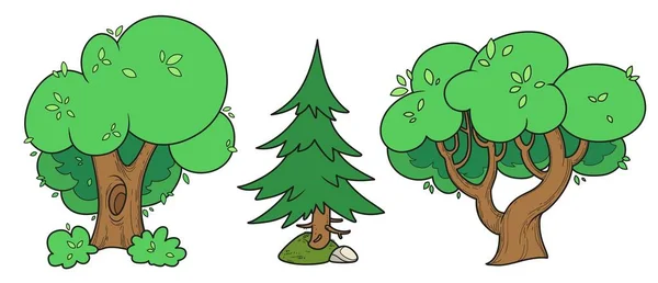 Trzy Duże Stare Drzewo Dwa Liściaste Jeden Świerk Odmiany Kolorów — Wektor stockowy