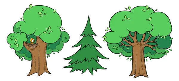 Três Árvore Velha Desenho Linear Dois Decíduos Uma Variação Cor — Vetor de Stock