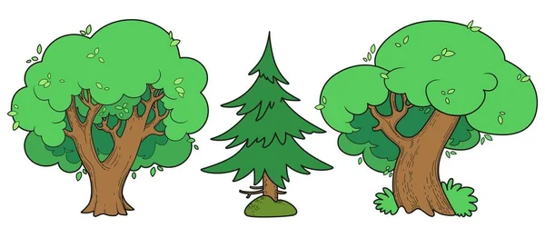 Три Великих Старих Дерева Лінійний Малюнок Два Листяних Один Ялиновий — стоковий вектор