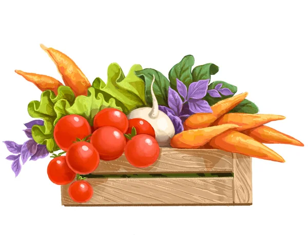 Fresh Farm Natural Vegetables Wooden Box — Stock Photo, Image