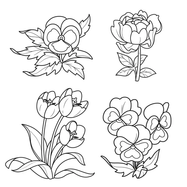 Flores Primavera Marrones Peonía Tulipanes Dibujo Lineal Para Colorear Libro — Archivo Imágenes Vectoriales
