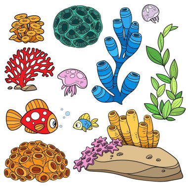 Anemones, corals, fishes, jellyfishes, sand stones and sponges set coloring book color drawing isolated on white background clipart