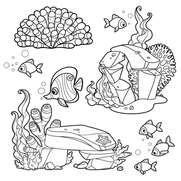 Algi Anemony Kompozycje Piaskowców Koralami Rybami Rysunek Liniowy Farbowania Strony — Wektor stockowy