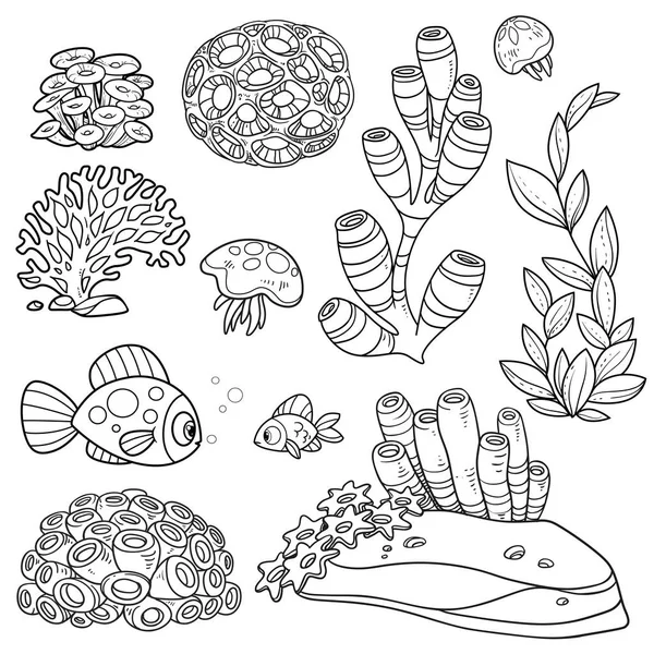 Anemones Corals Fishes Jellyfishes Sand Stones Sponges Set Coloring Book — Stock Vector