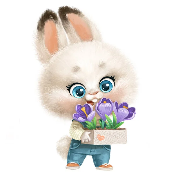 Cute Little Fluffy White Rabbit Flowerpot Crocuses Paws Isolated White — Stock Photo, Image