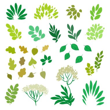 Beyaz zemin üzerinde yeşil soyut desen organik fırça darbeleri 