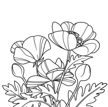 Gelincikler boş beyaz arkaplanda sanat taslağı oluşturdular