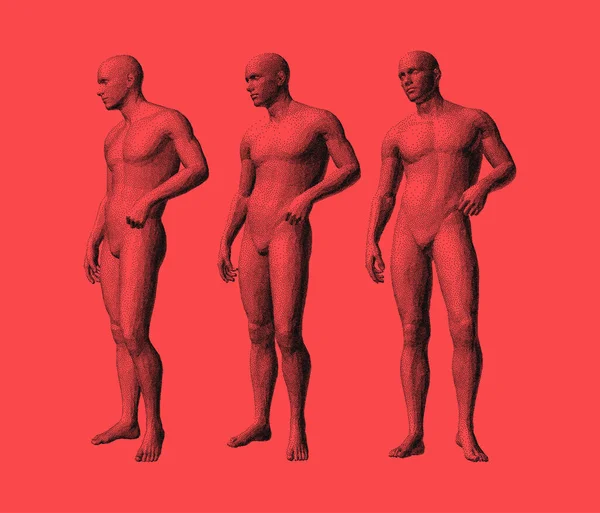 Модели Стоящих Людей Разных Позах Модель Человеческого Тела Вектор Брошюры — стоковый вектор