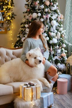 Küçük şirin kız kanepeye oturmuş Samoyed köpeği ile Noel ağacının yanında güzel bir iç mekanda, rüyasında pencereden dışarı bakıyor.