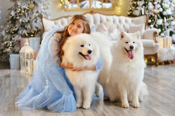 Nettes Mädchen Einem Hellblauen Kleid Mit Zwei Weißen Samoyischen Hunden — Stockfoto