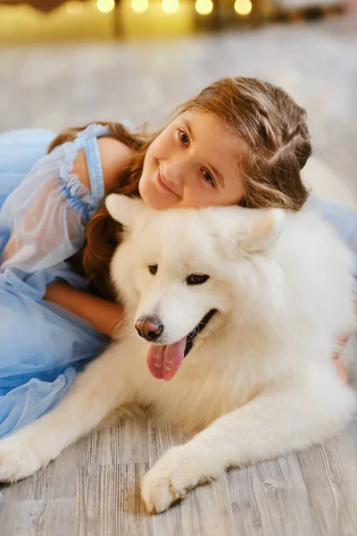 Nice Girl Light Blue Dress White Samoyed Dog Studio New — Stock Photo, Image