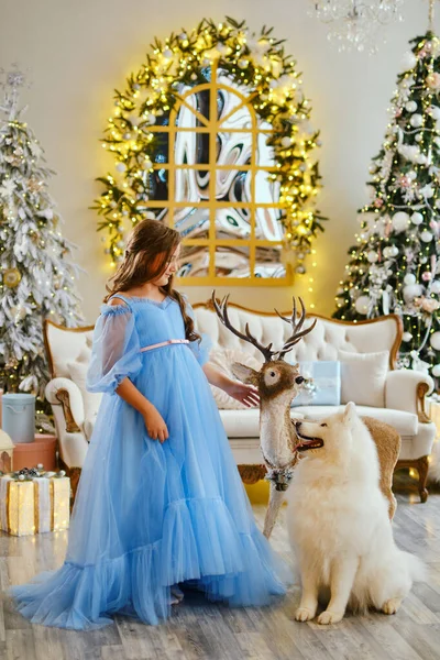 Miła Dziewczyna Jasnoniebieskiej Sukience Białym Samoyed Pies Duży Deer Zabawki — Zdjęcie stockowe