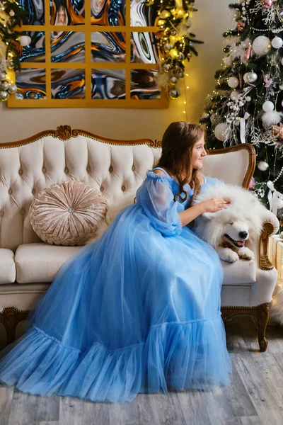 Nice girl in a light blue dress with white Samoyed dog in the studio in the New Year decorations, against the background of the Christmas tree looking at window and dreaming