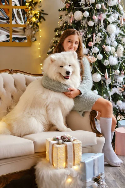 Kleines Nettes Mädchen Sitzt Auf Dem Sofa Mit Samojanischem Hund — Stockfoto