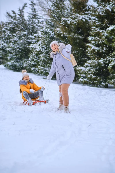 Winter fairy tale, Happy mother pulling sledge with kid girl on snowy park road in deep fresh snow. Enjoying white winter day. Spending time together in weekend.