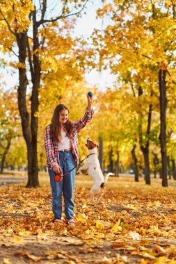 Neşeli küçük kız, güzel sonbahar ormanlarında komik Jack Russell Terrier 'iyle oynuyor, çocuk doğada yürürken köpekle oynuyor ve eğleniyor. Çocuklar ve hayvanlar dışarıda.